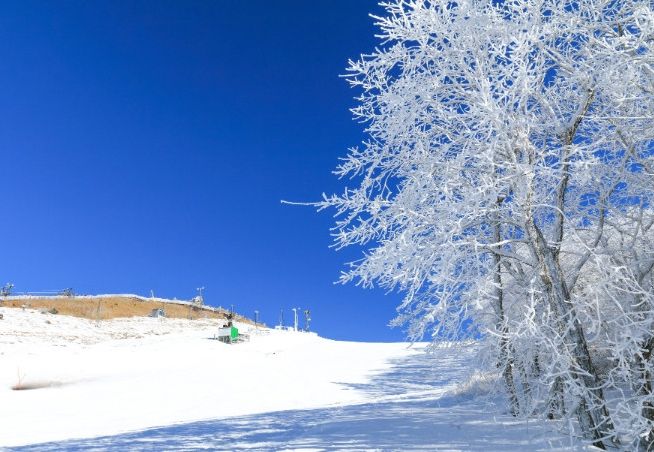 九重森林公園滑雪場 九重森林公園滑雪場